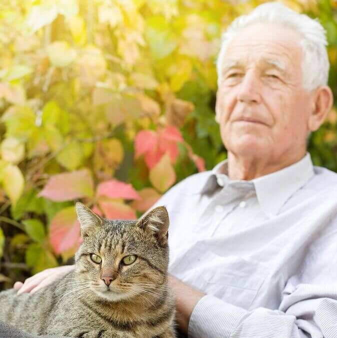 3 Amazing Reasons a Dog Could be Great for Veterans Home Care
